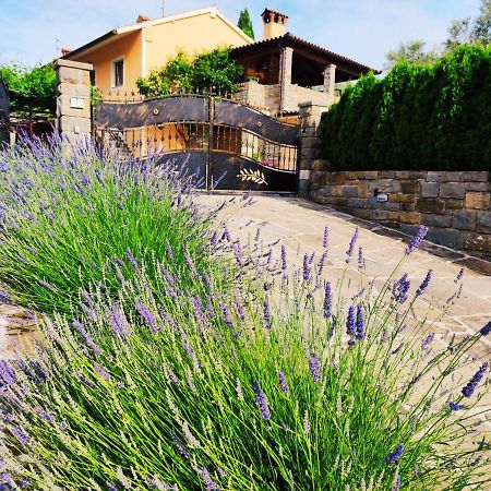 Apartment Wine & Olive Oil Mofardin Копер Экстерьер фото