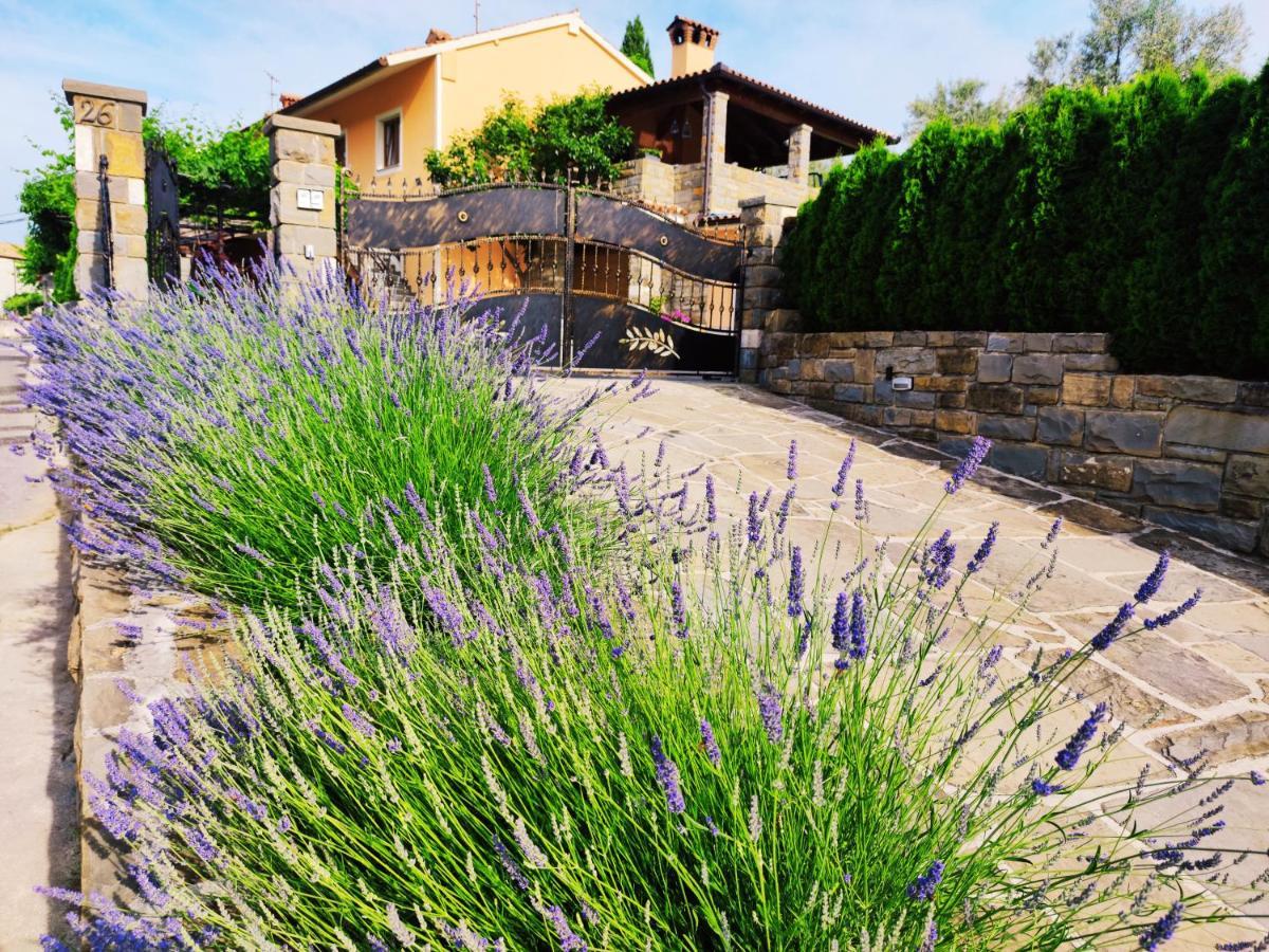 Apartment Wine & Olive Oil Mofardin Копер Экстерьер фото